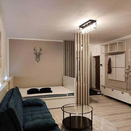 Joy City Stay Vivalia V6A-41 Timisoara Exterior foto