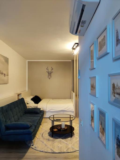 Joy City Stay Vivalia V6A-41 Timisoara Exterior foto