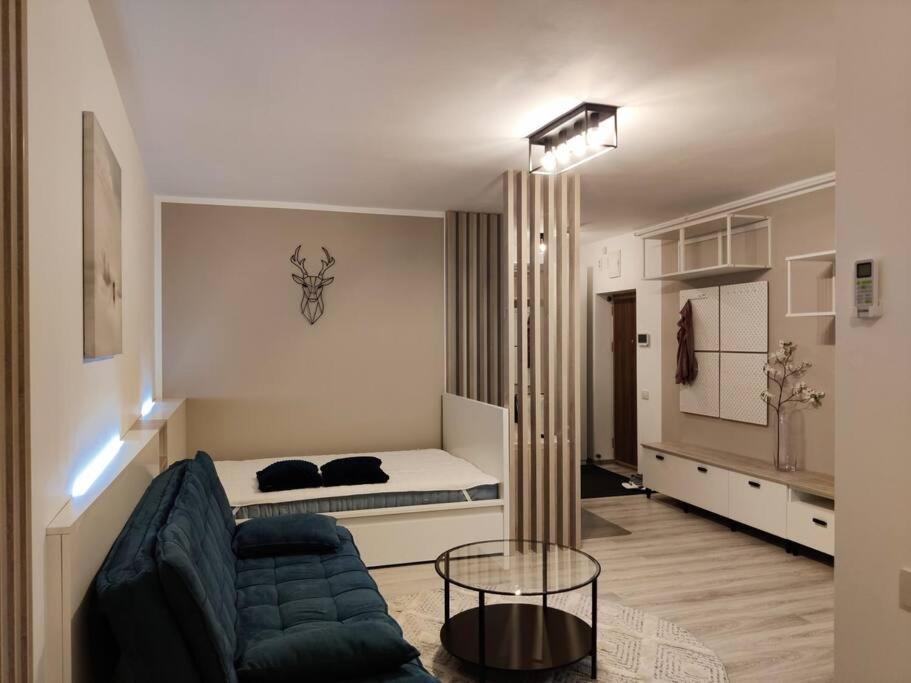 Joy City Stay Vivalia V6A-41 Timisoara Exterior foto