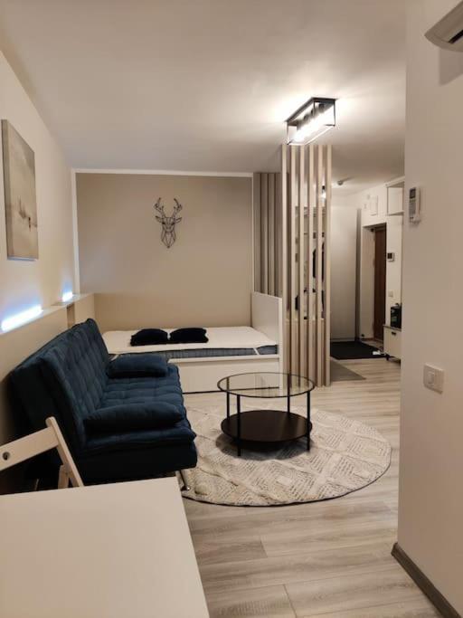 Joy City Stay Vivalia V6A-41 Timisoara Exterior foto