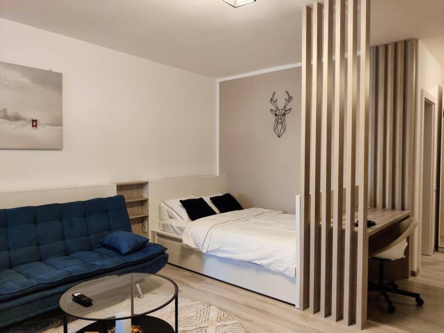 Joy City Stay Vivalia V6A-41 Timisoara Exterior foto