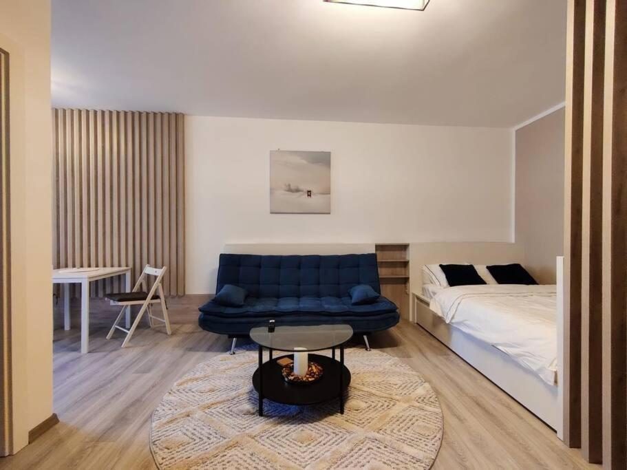 Joy City Stay Vivalia V6A-41 Timisoara Exterior foto